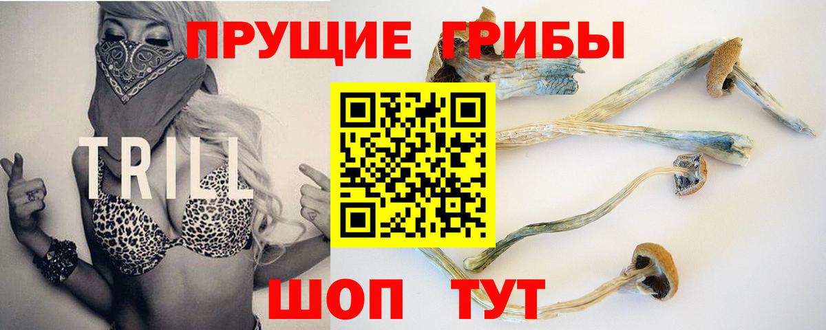Галлюциногенные грибы GOLDEN TEACHER  Вход с VPN  Новозыбков 