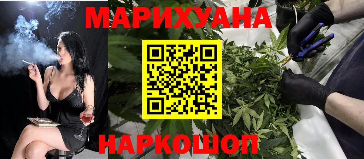 Новозыбков  Бошки марихуана семена  Вход с VPN  МАРИХУАНА тримм 